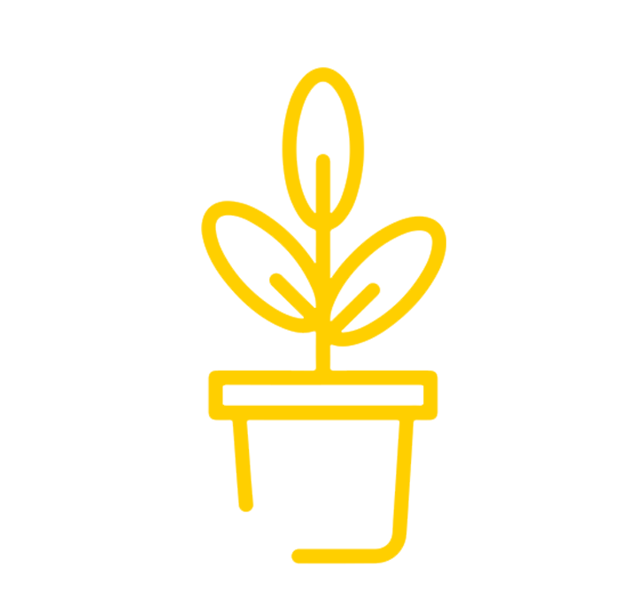 Jardín